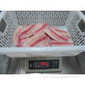 Ivp Pack Tilapia Fish Fillet For Marketing